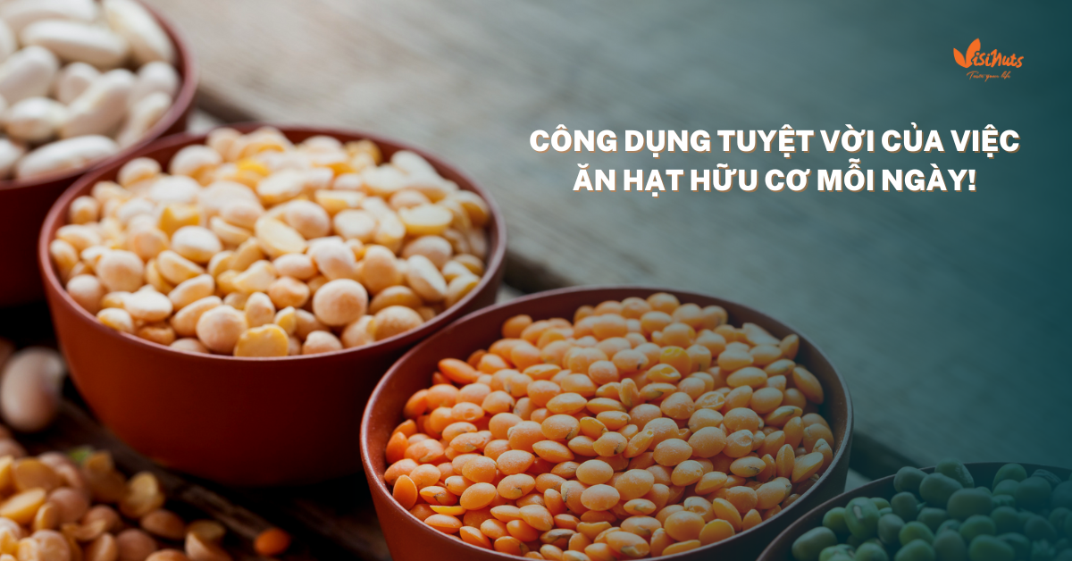 Hạt dinh dưỡng mix vị Visinuts – Dinh dưỡng từ tâm hướng đến sức khỏe người tiêu dùng Việt - 2