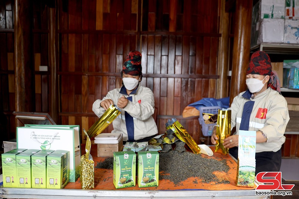 Nâng cao chất lượng các sản phẩm OCOP - 2