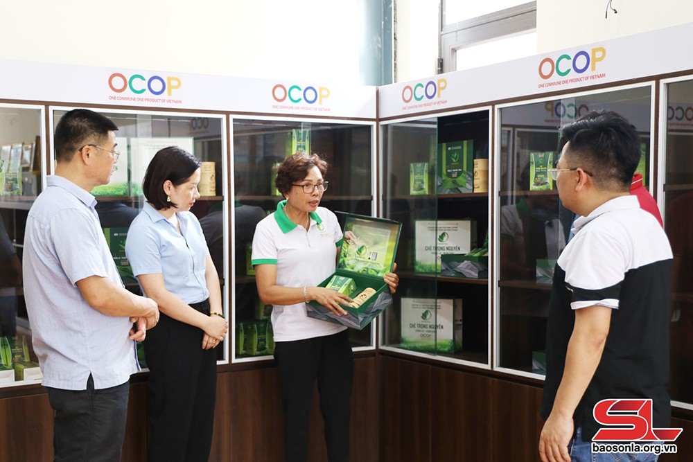 Nâng cao chất lượng các sản phẩm OCOP - 3