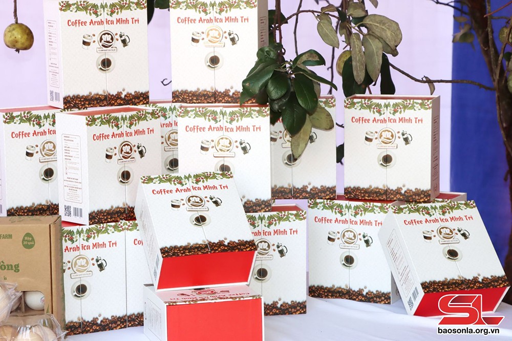 Nâng cao chất lượng các sản phẩm OCOP - 4