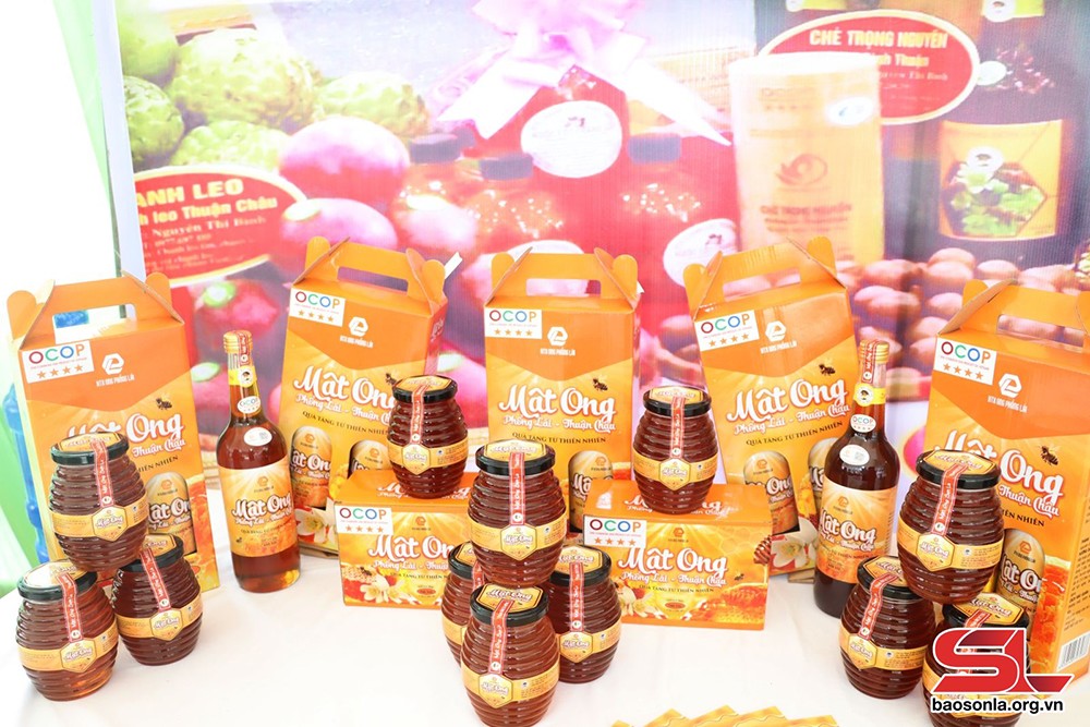 Nâng cao chất lượng các sản phẩm OCOP - 5