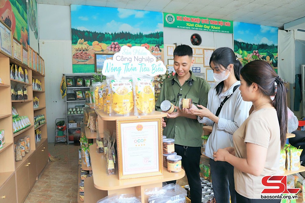 HTX tiêu biểu trên cao nguyên Mộc Châu - 1