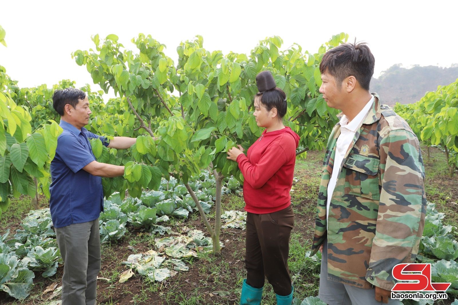 Hợp tác đưa nông sản vươn xa - 2