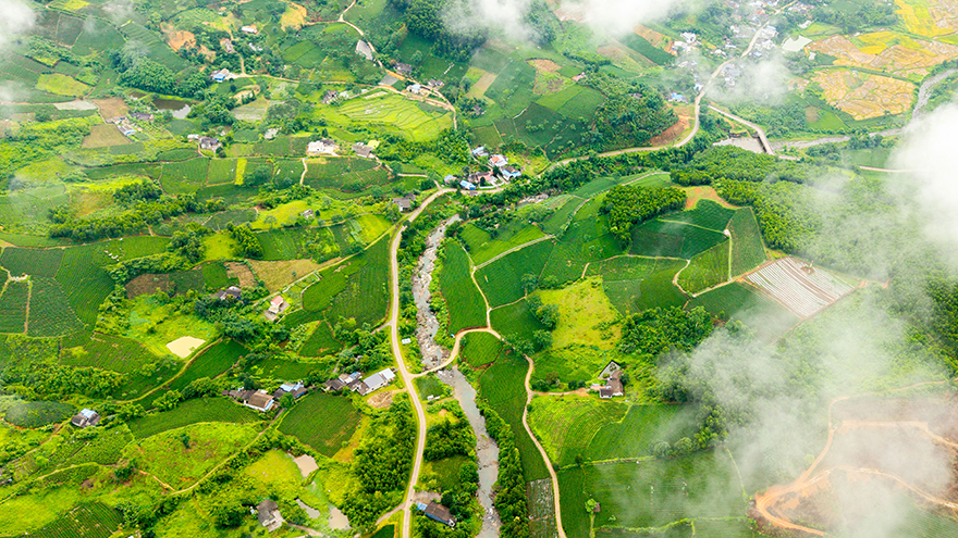 Làn gió mới cho vùng chè Thái Nguyên - 1