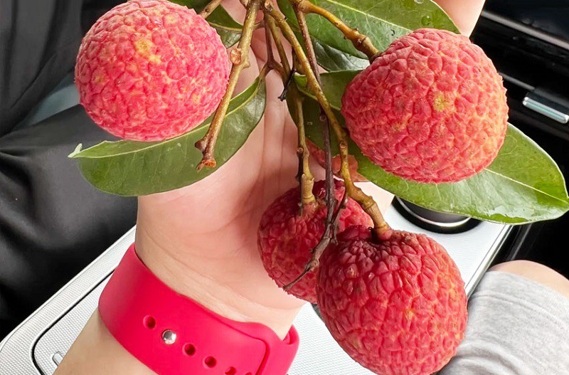 Điều ít biết về loại vải đắt nhất thế giới, giá một quả gần 2 tỷ đồng - 7