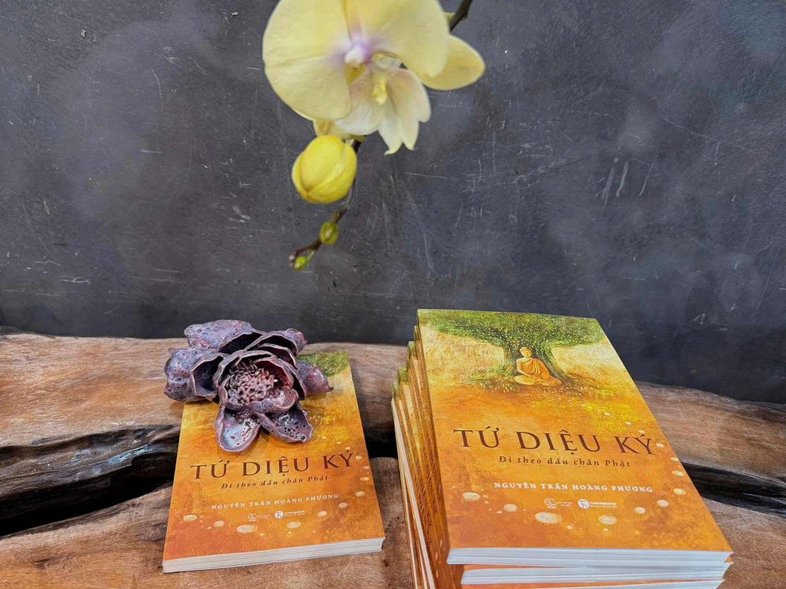 Tứ Diệu Ký – đến thăm thánh tích Phật giáo, thấy vô thường qua từng viên gạch vỡ - 4