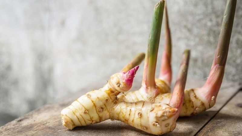 Loại củ rẻ bèo được ví như “vệ sĩ” của phổi, đọc xong nhiều người tiếc hùi hụi vì bỏ phí! - 1