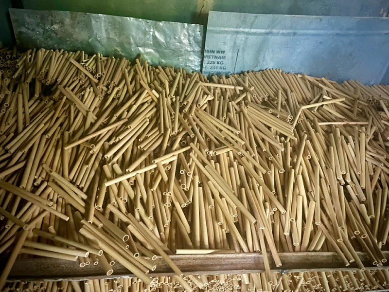 Bỏ hơn nửa tỷ đồng để khởi nghiệp, cô gái Quảng Trị bất lực nhìn hàng trăm nghìn ống hút ế nằm chất thành đống - 1