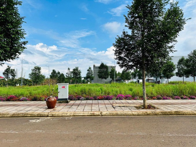 Đầu tư đất nền hay nhà phố thương mại trong lõi trung tâm – đâu là lựa chọn khôn ngoan 2025? - 1