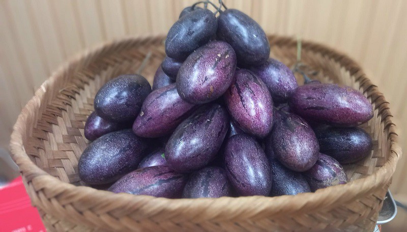 Xuất hiện loại dưa lạ trông như cà tím, giá 80 nghìn đồng/kg vẫn không đủ bán - 5