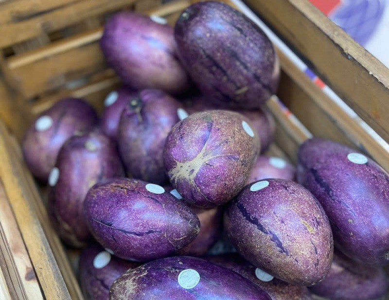 Xuất hiện loại dưa lạ trông như cà tím, giá 80 nghìn đồng/kg vẫn không đủ bán - 3