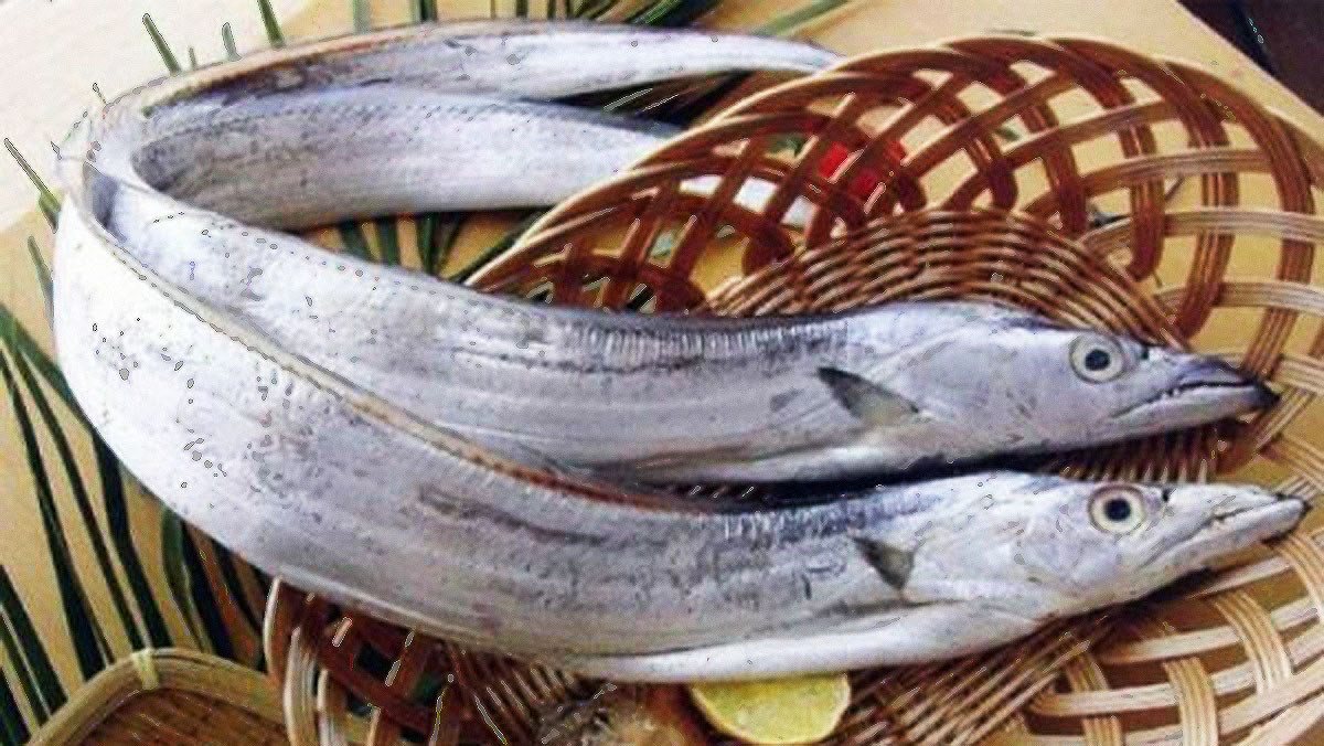 Những loài cá là “đặc sản bạc triệu” tại Việt Nam, được săn lùng, luôn cháy hàng - 2