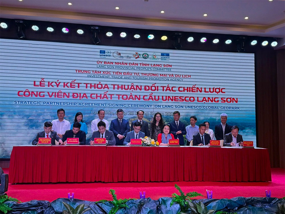 Doanh nhân Nguyễn Thị Ngân: Từng bước tiên phong cho Doanh nghiệp Việt - 5