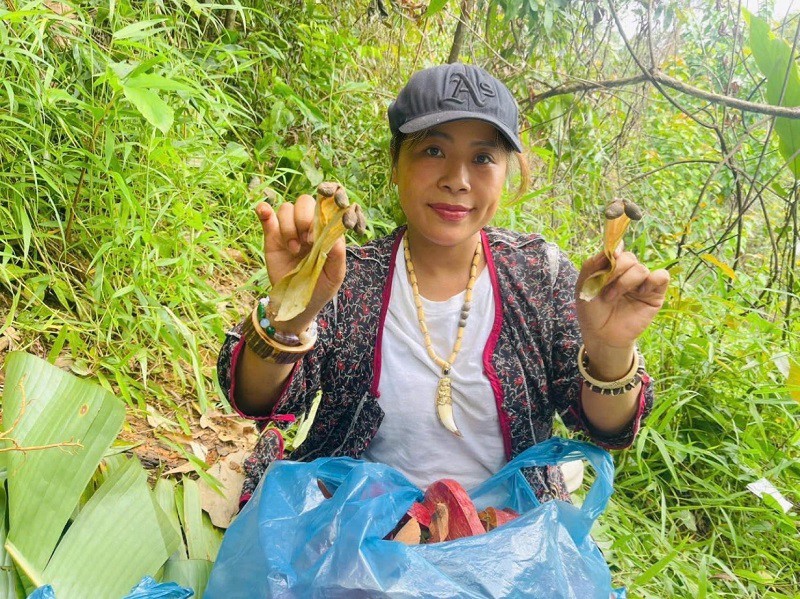 Lộc rừng từ trên cây bay xuống đất, dân thi nhau đi nhặt về bán với giá 600 nghìn đồng/kg - 3