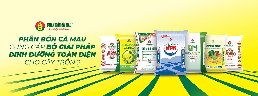 PVCFC (DCM): Tăng trưởng bền vững nhờ chiến lược M&A KVF, sản lượng NPK vượt kế hoạch, triển vọng cổ phiếu tích cực - 3