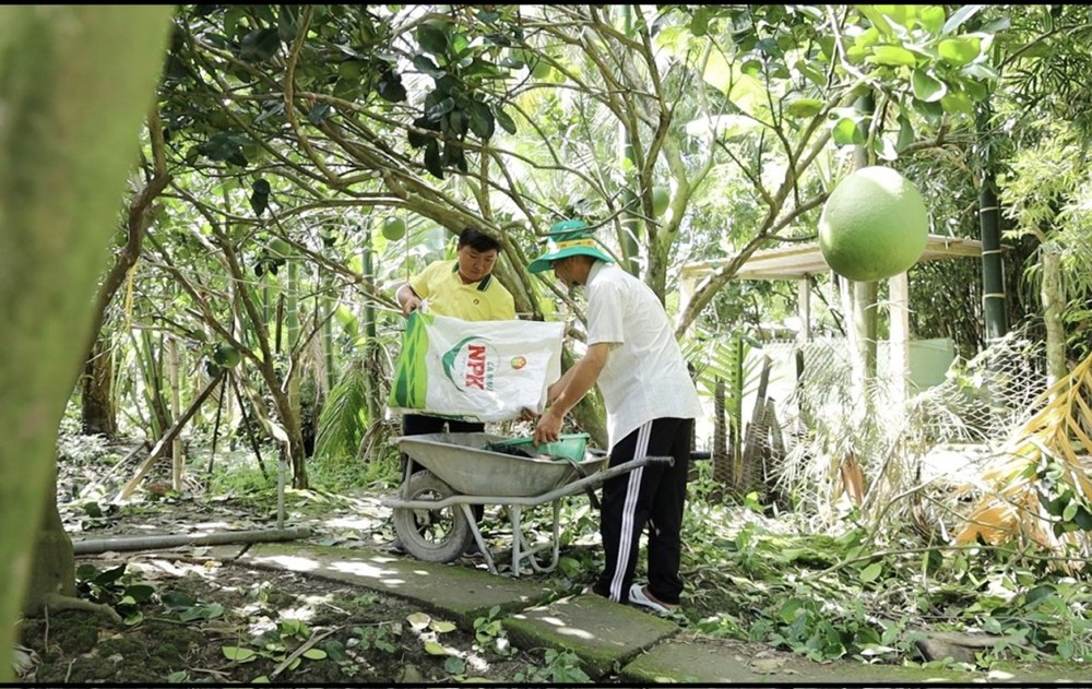 PVCFC (DCM): Tăng trưởng bền vững nhờ chiến lược M&A KVF, sản lượng NPK vượt kế hoạch, triển vọng cổ phiếu tích cực - 2