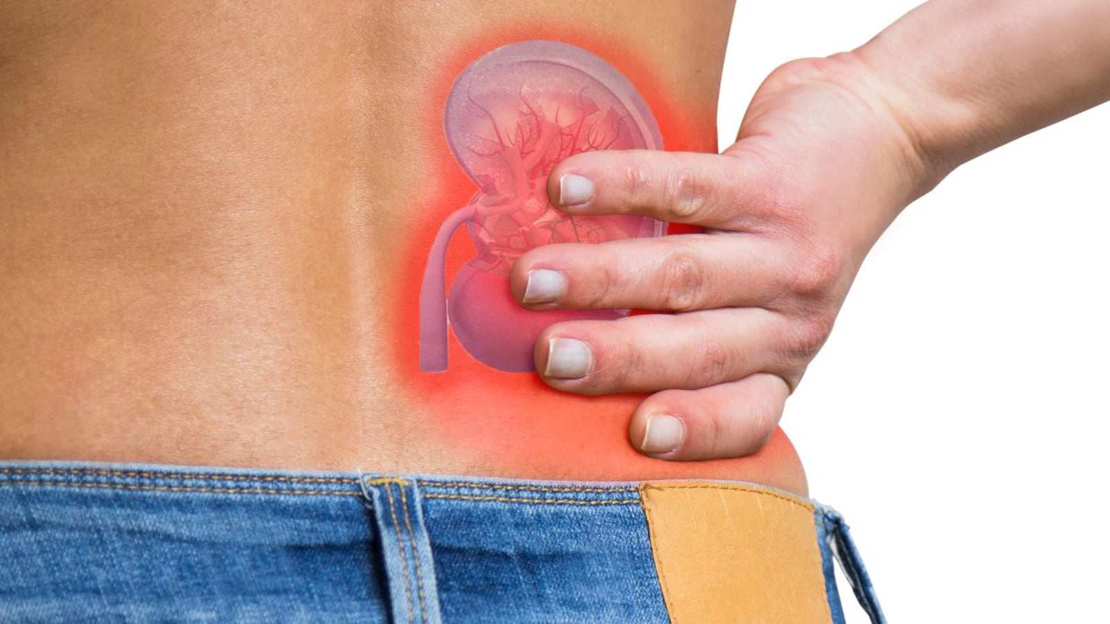 Dấu hiệu 2 quả thận quý hơn vàng đang "kêu cứu" dù chưa hề đau đớn - 3