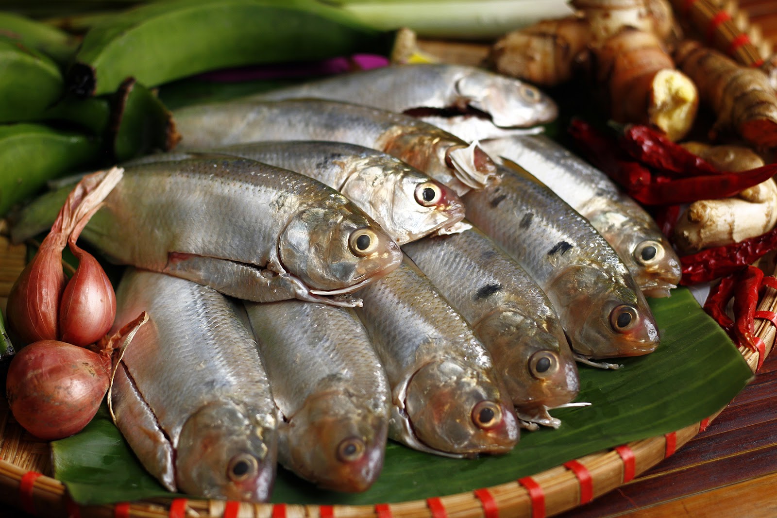 3 loại cá “nhỏ mà có võ” cực giàu canxi, tốt cho xương khớp  - 2