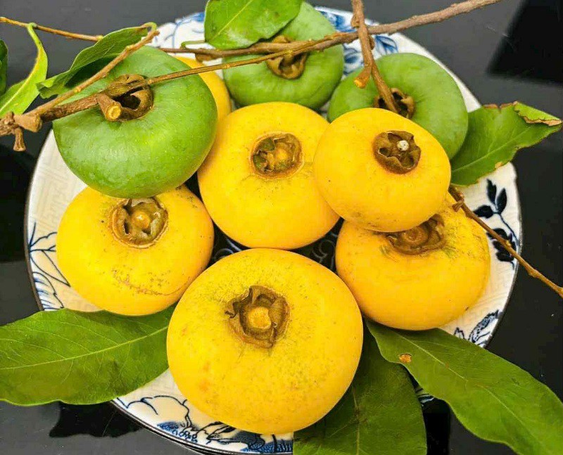 Loại quả quê mùa thành đặc sản ở Hà Nội có giá đắt đỏ, tiểu thương đếm quả tính tiền - 6