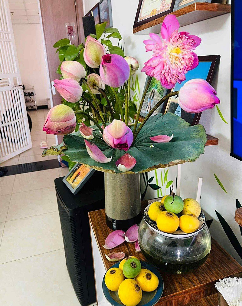 Loại quả quê mùa thành đặc sản ở Hà Nội có giá đắt đỏ, tiểu thương đếm quả tính tiền - 3