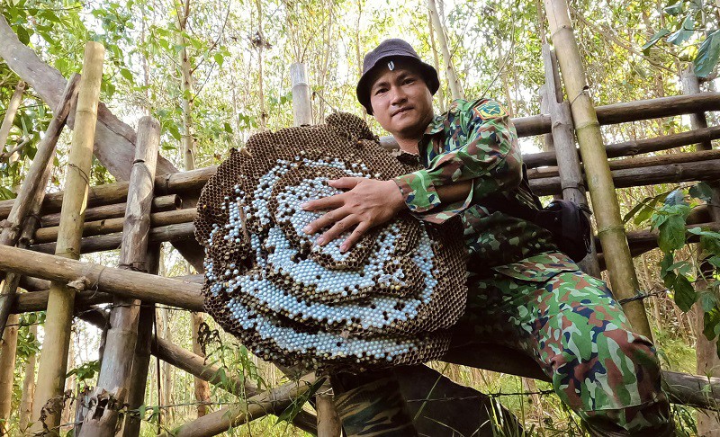 Đi săn loài ong “sát thủ” mang cả tổ về bán, nhiều người kiếm được cả triệu đồng một ngày - 5