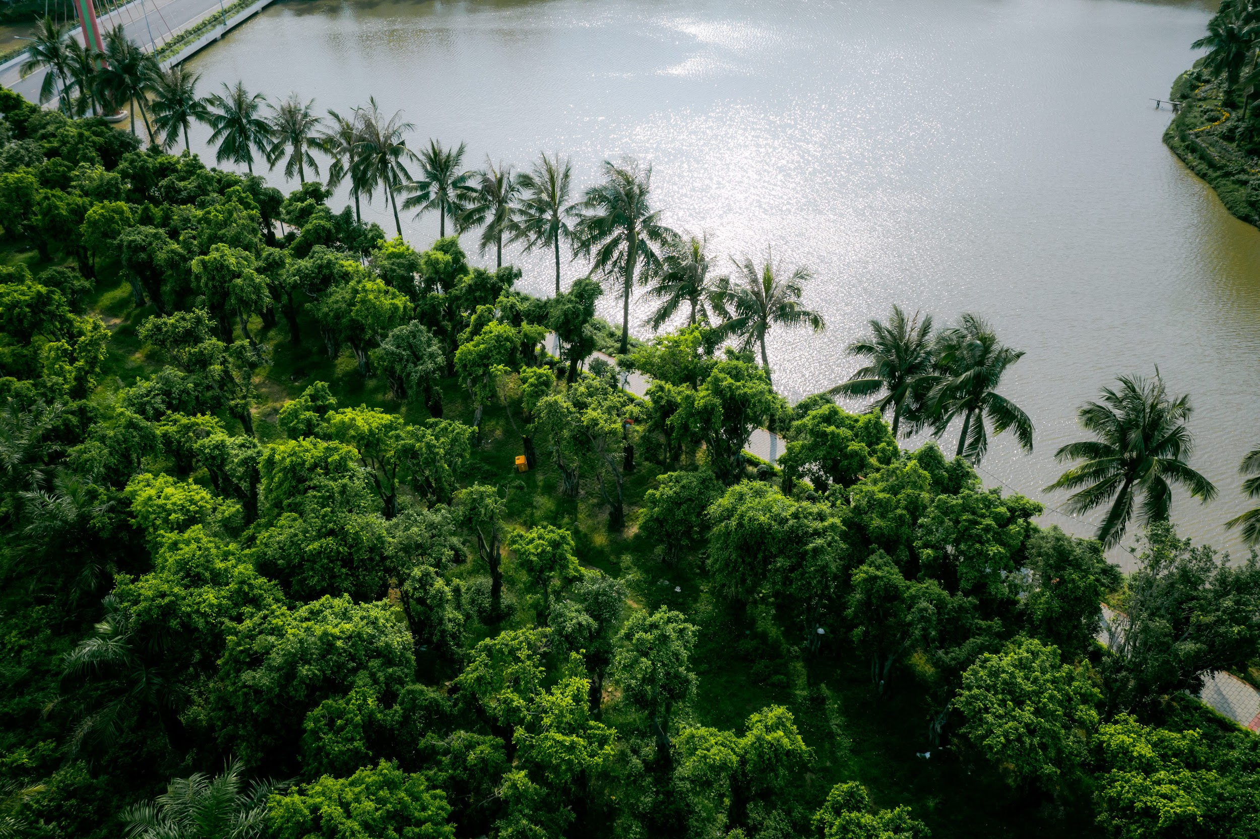 Eco Riverside - Miền xanh an nhiên ven sông Thái Bình - 1