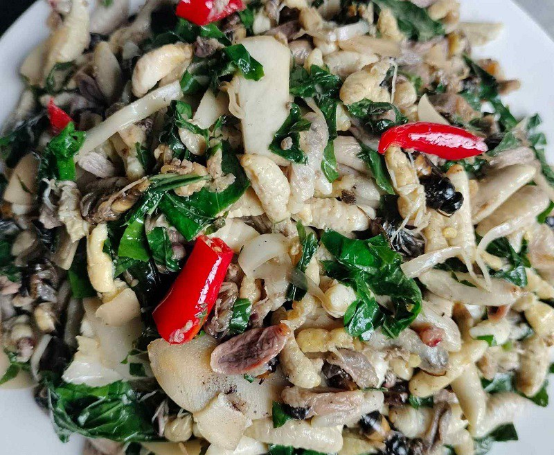 Loại côn trùng có nọc độc chết người được lùng mua để lấy “thịt”, giá lên đến 750 nghìn đồng/kg - 6