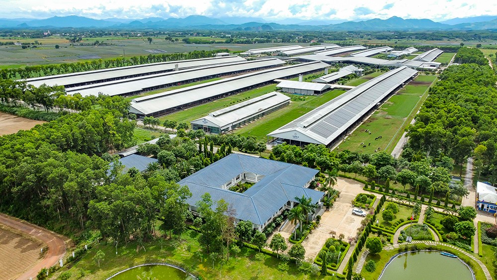 Lần đầu tiên, Vinamilk được xếp hạng sức mạnh thương hiệu xuất sắc, vượt trội toàn cầu - 3