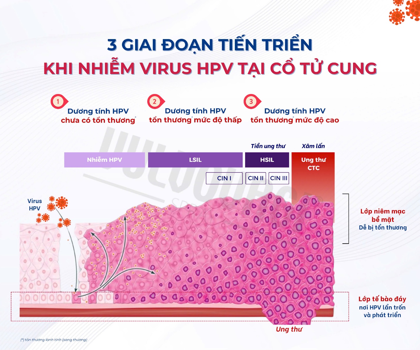 Nhiễm HPV không có nghĩa chắc chắn sẽ ung thư - 1