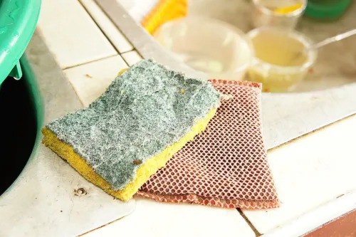 10 thứ trong nhà chứa nhiều vi khuẩn hơn cả bệ ngồi bồn cầu - 1