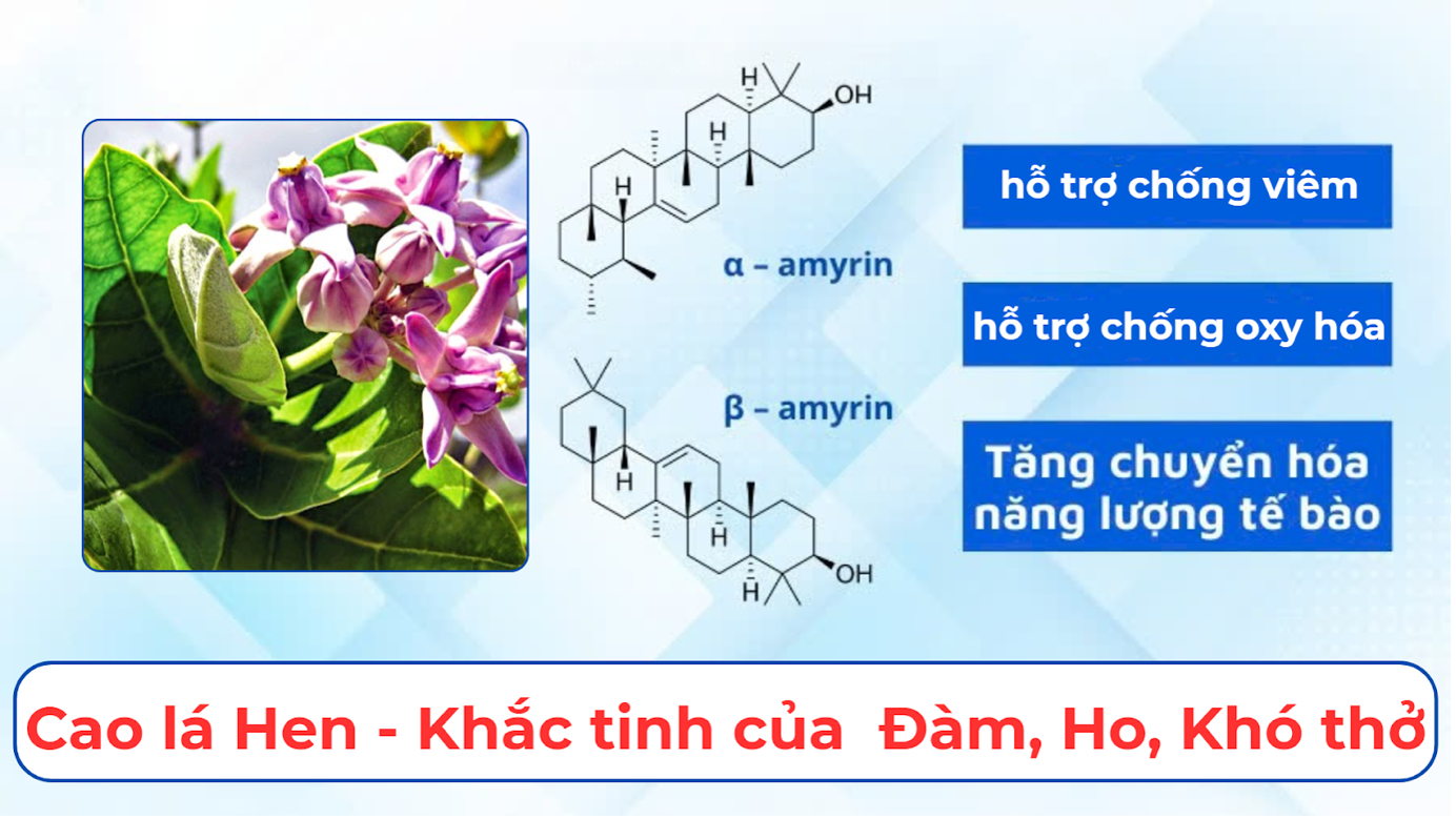 5 “cơn ác mộng” của phổi, bỏ ngay nếu không muốn ho đàm liên miên, tương lai phải thở máy - 5