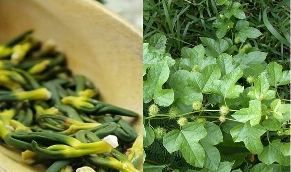 Mất ngủ mãn tính suốt 10 năm gây đau đầu chóng mặt, mệt mỏi giờ ngủ liền tù tì mỗi đêm nhờ đâu? - 3