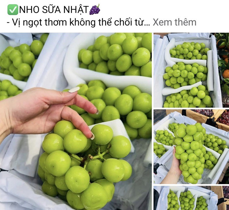 Loại quả “quý tộc” của Nhật Bản bán la liệt tại chợ Việt với giá "siêu rẻ", chỉ từ 35 nghìn đồng/kg - 2