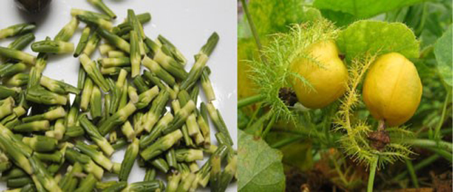 Mất ngủ, trằn trọc khó ngủ, tỉnh giấc giữa đêm: Làm đúng 1 bước này là ngủ liền một mạch - 2