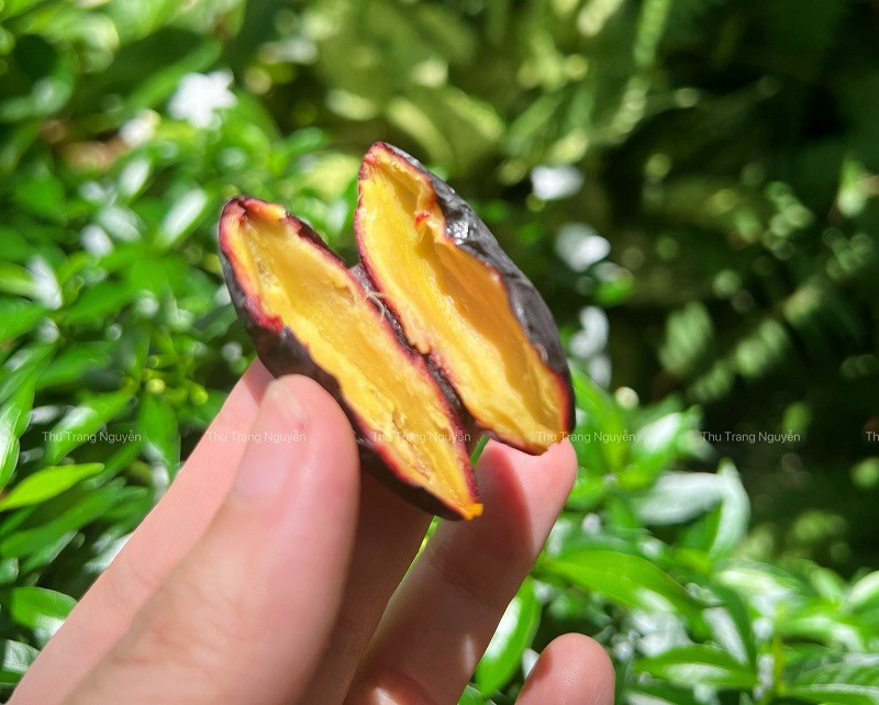 Loại quả quê mùa xưa "rẻ bèo", giờ rao bán ở Hà Nội với giá lên tới 210 nghìn đồng/kg - 9