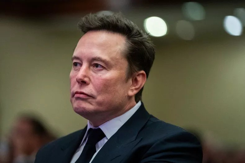 Tỷ phú Elon Musk: "Châu Âu có thể biến mất" - 1