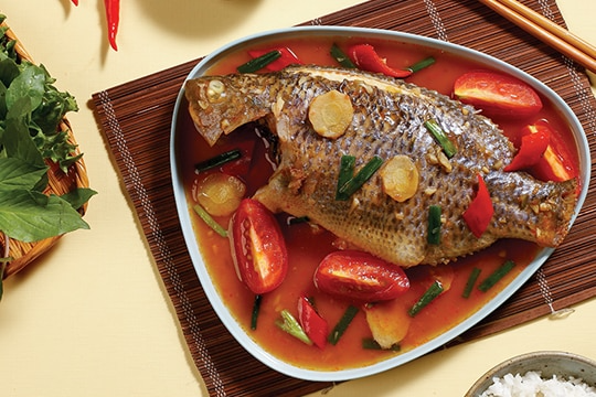 Việt Nam có 1 loại cá mệnh danh là "gà nước", đại bổ cho xương khớp - 2