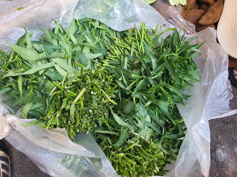 Chợ Hà Nội: Rau xanh đắt “khét”, 25.000 đồng/mớ mồng tơi, tiểu thương chán không buồn bán - 3