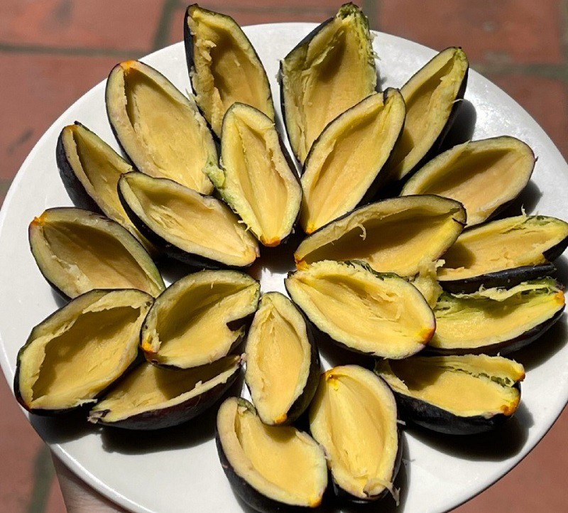 Trồng loại cây cho quả "quý như vàng", cả làng ở Bắc Ninh thu hàng tỷ đồng mỗi vụ - 6