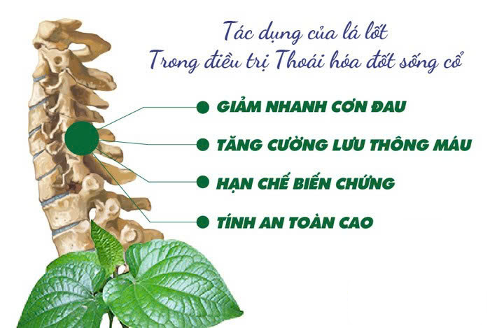 “Bảo bối’ cứu nguy cho cột sống hóa ra có ngay trên mâm cơm hàng ngày của người Việt - 2