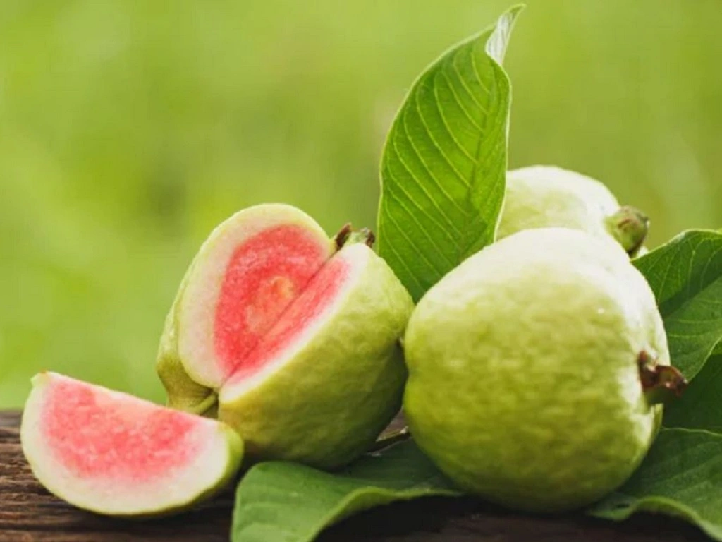 Món ăn khoái khẩu mùa thu: Ngon miệng nhưng tiềm ẩn nguy cơ đau khớp - 2
