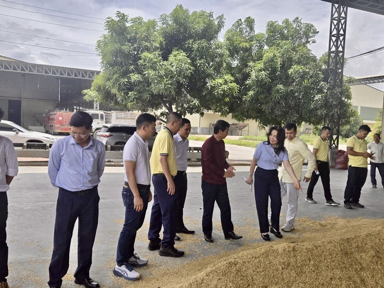 PVCFC tăng tốc mở rộng thị phần tại Campuchia, đồng hành cùng nông dân nâng giá trị hạt gạo - 4