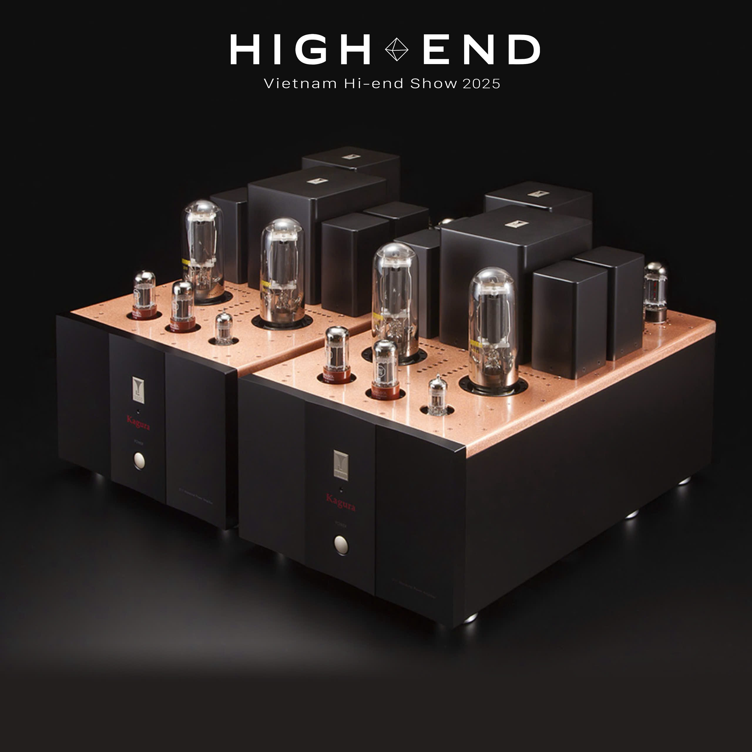 Vietnam High-end Show 2025: Lễ hội lớn nhất trong năm của giới chơi audio  - 1