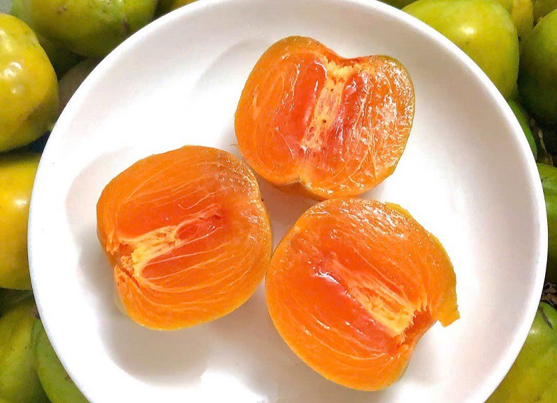 Loại cây xưa nhiều nhà chặt bỏ giờ hoá “mỏ vàng”, hái quả bán được hàng chục triệu đồng - 2