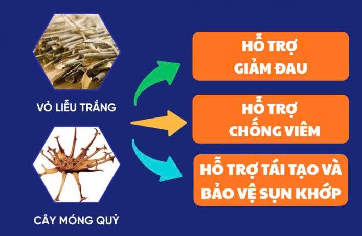 Người bị đau nhức xương khớp cần tránh gì trong mùa mưa bão? - 3