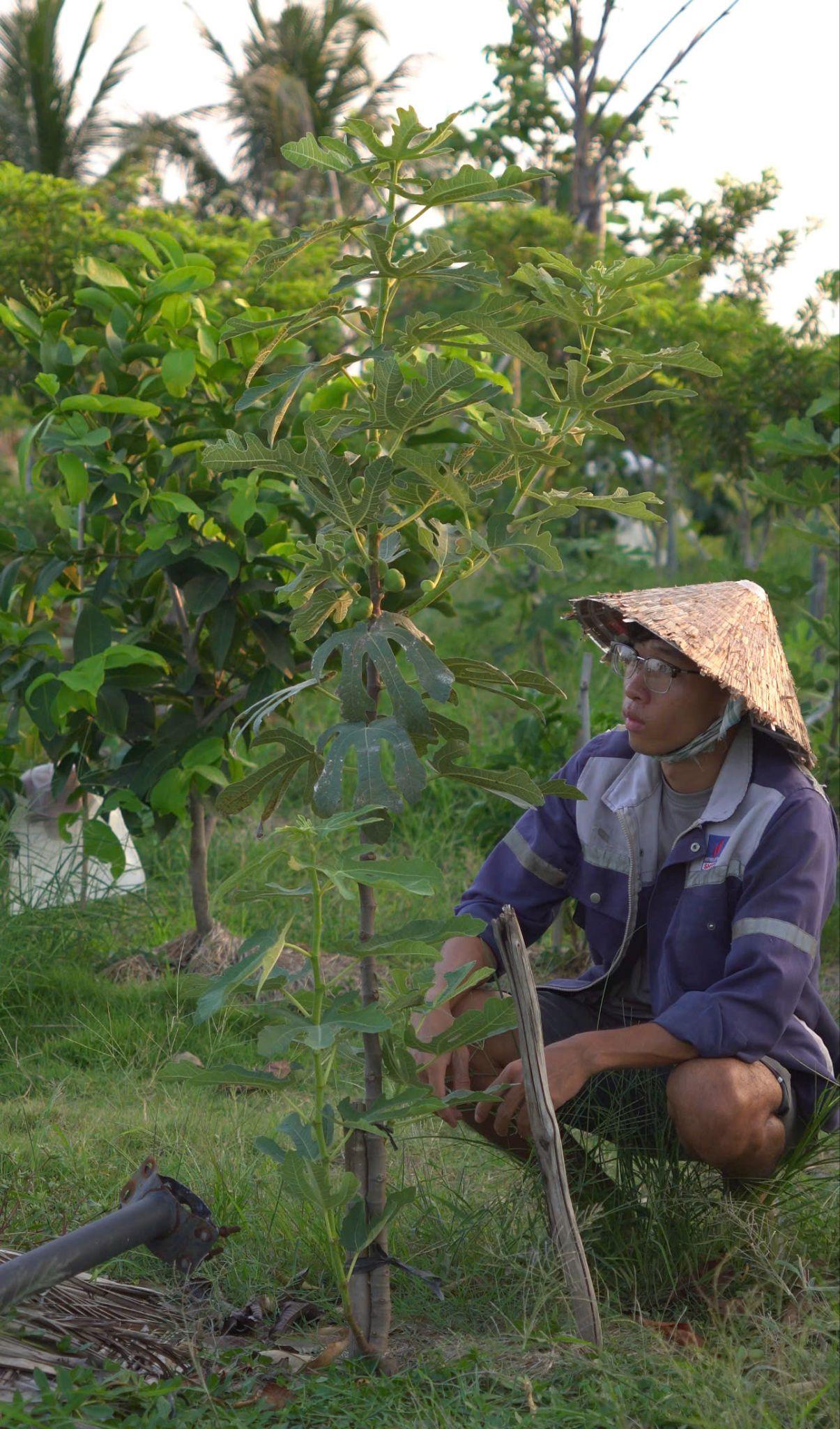 Nguyễn Ngọc Hiển: Chàng trai trẻ rời phố về hái “trái ngọt” nơi thôn quê - 4