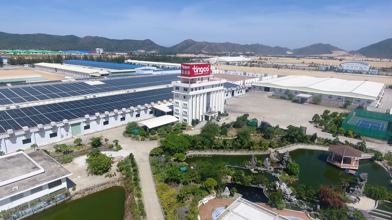 Tingco được vinh danh Top 10 Nhãn hiệu nổi tiếng Việt Nam ngành Thực phẩm – Đồ uống năm 2026 - 3