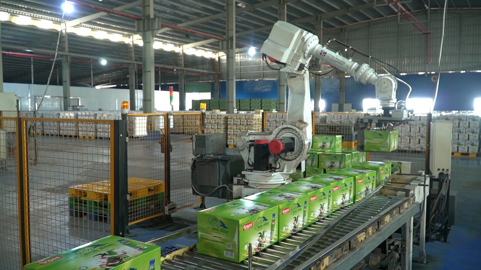 Tingco được vinh danh Top 10 Nhãn hiệu nổi tiếng Việt Nam ngành Thực phẩm – Đồ uống năm 2026 - 2