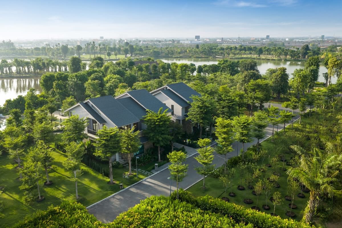 Ecopark ra mắt Rừng Phượng: Khi thiên nhiên là người thầy thứ hai của trẻ - 5