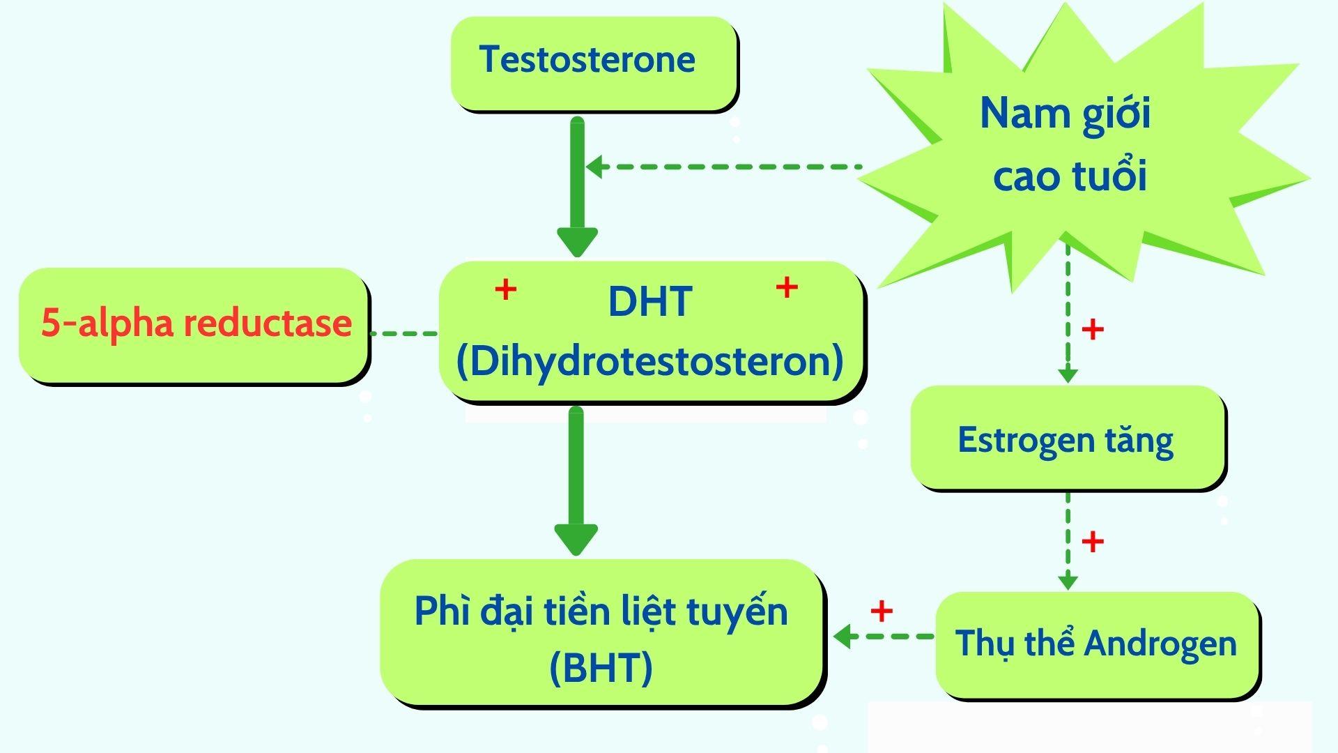 Mách nhỏ quý ông nào bị tiểu đêm nhiều lần, tiểu khó nên làm việc này ngay lập tức - 4